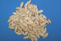 Pumpkin seeds - “Lady Nail”