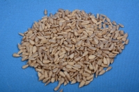 Sunflower kernel “confectionary” and “bakery grade” – food industry